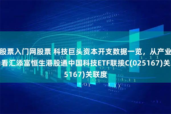 股票入门网股票 科技巨头资本开支数据一览，从产业视角看汇添富恒生港股通中国科技ETF联接C(025167)关联度