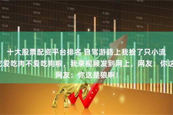 十大股票配资平台排名 自驾游路上我捡了只小流浪狗，它爱吃肉不爱吃狗粮，我录视频发到网上，网友：你这是狼啊！